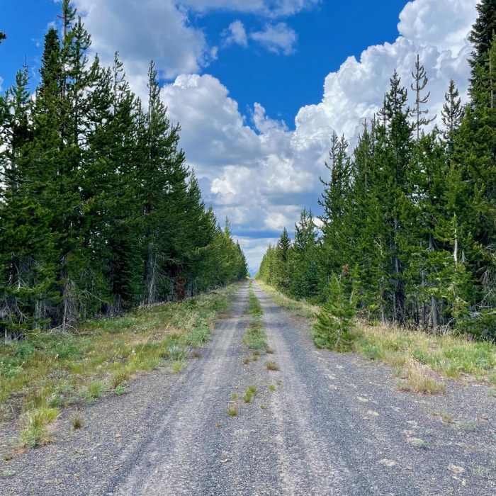 Near Continental Divide Trail: Montana-Idaho Section 1