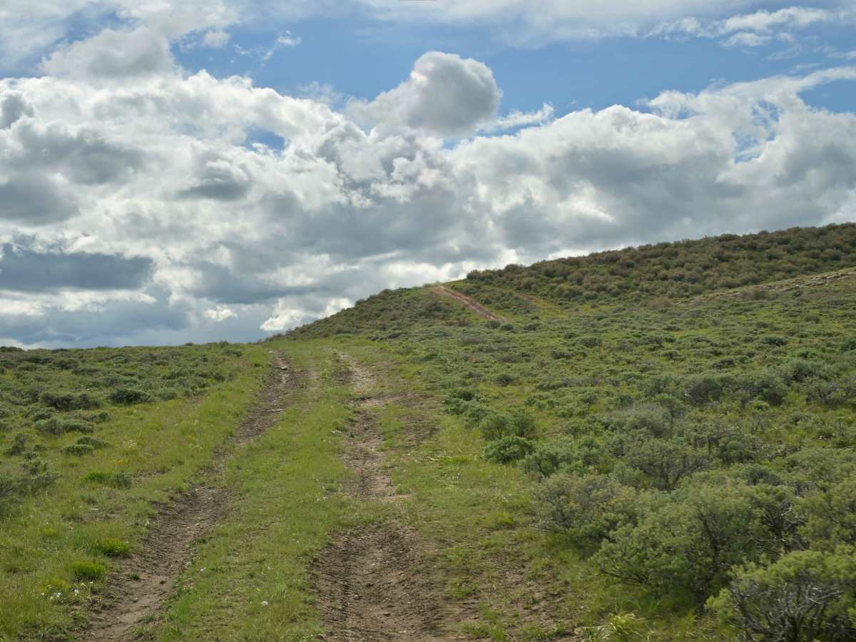 Bull Spring - FS 10578 photo 3