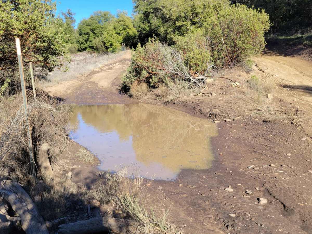 Bear Valley Road photo 6
