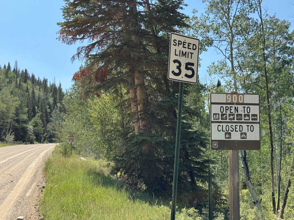 Bear River Road - FS 900 photo 3