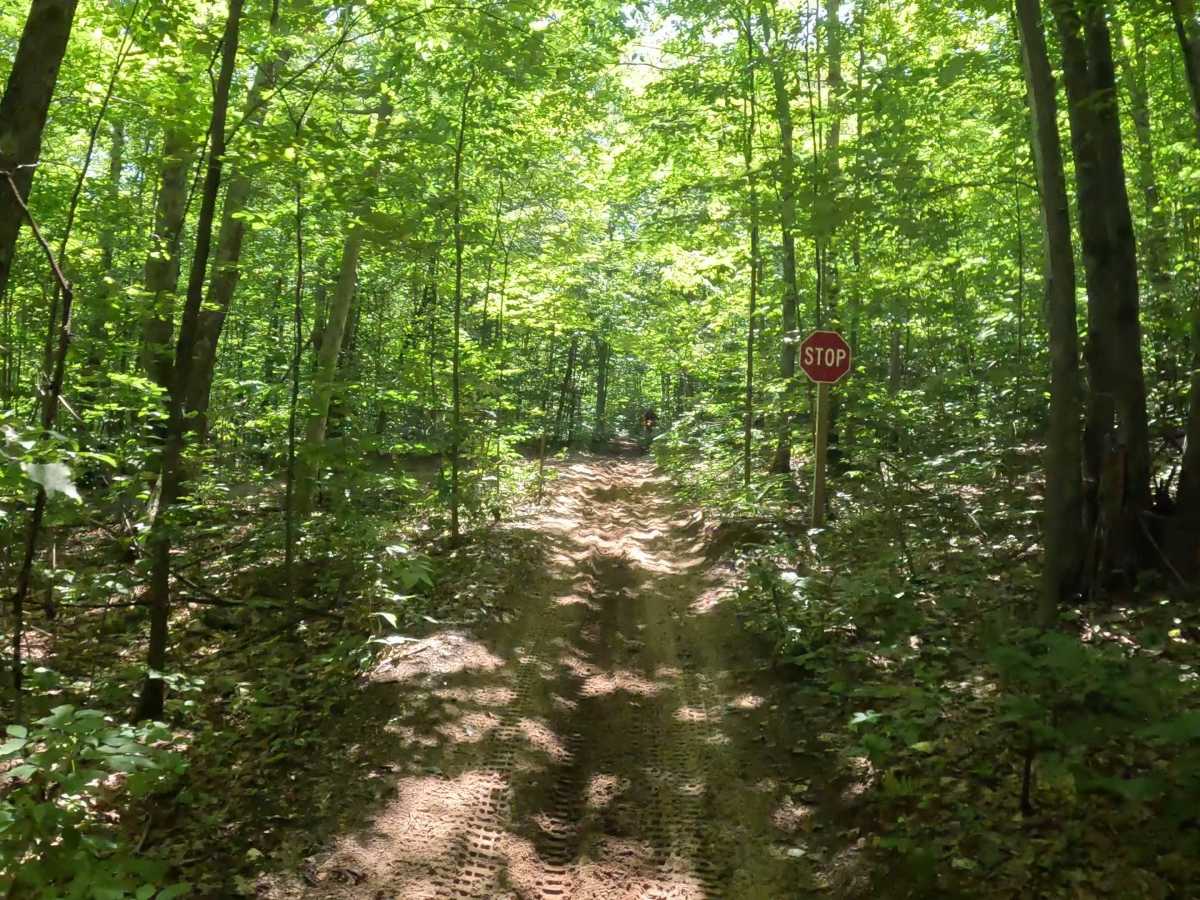 Kalkaska Trial Interconnector photo 2