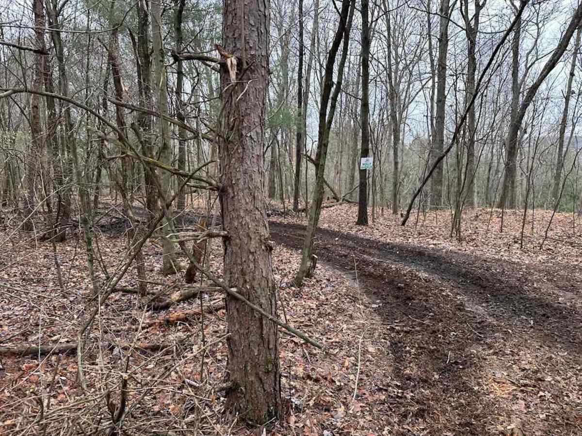 Holly Ave Outer Loop photo 2