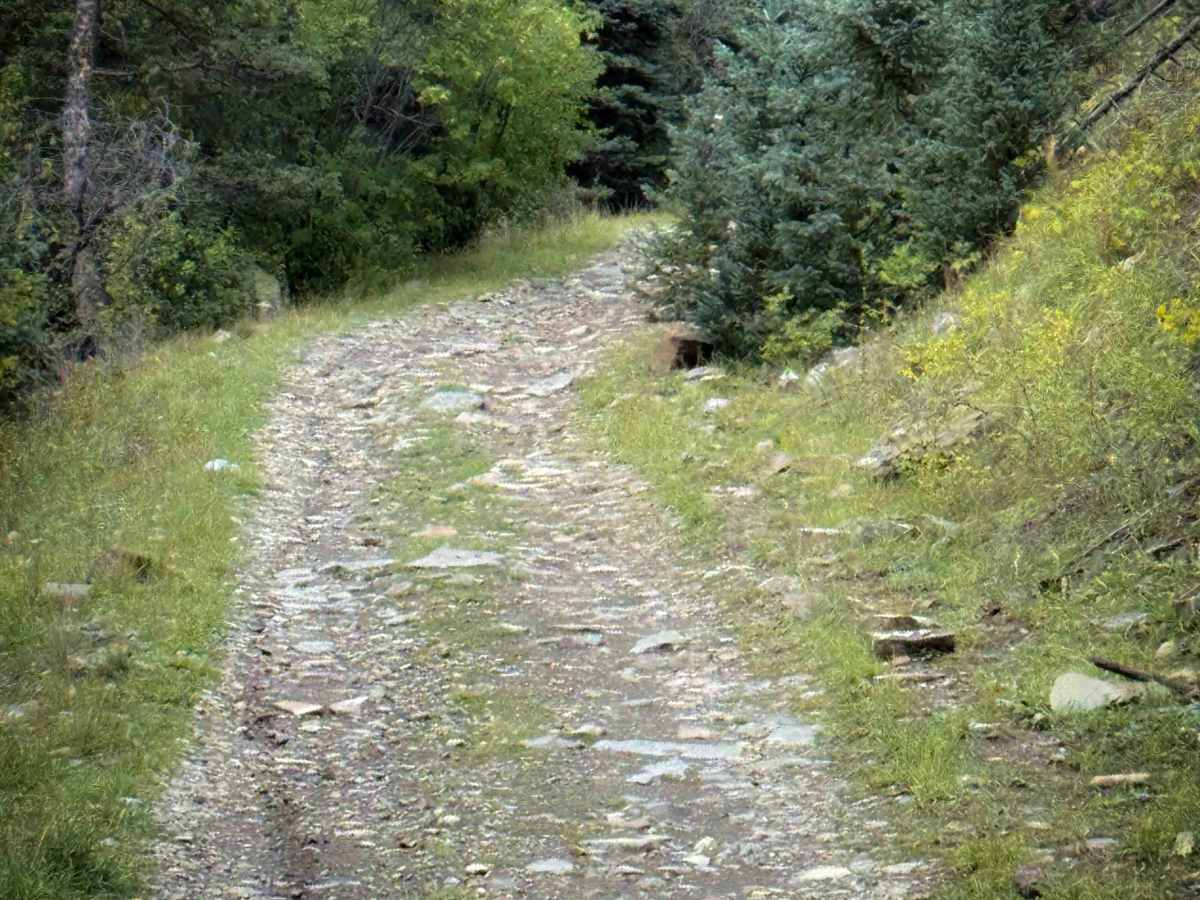 Sardinas Canyon Trail - FS 12 photo 5