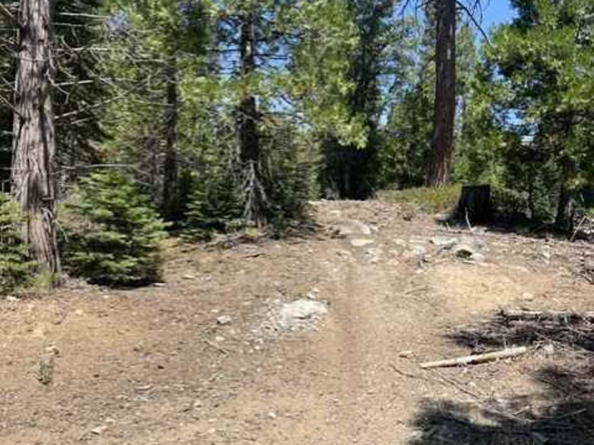 Secret Single Track (007 additional trail) photo 4