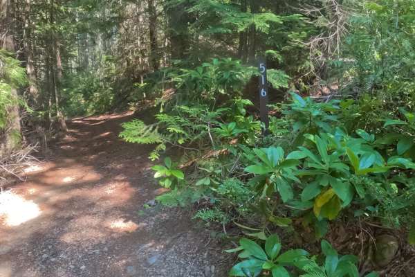 Presley Lake Turnoff - FS 2257516