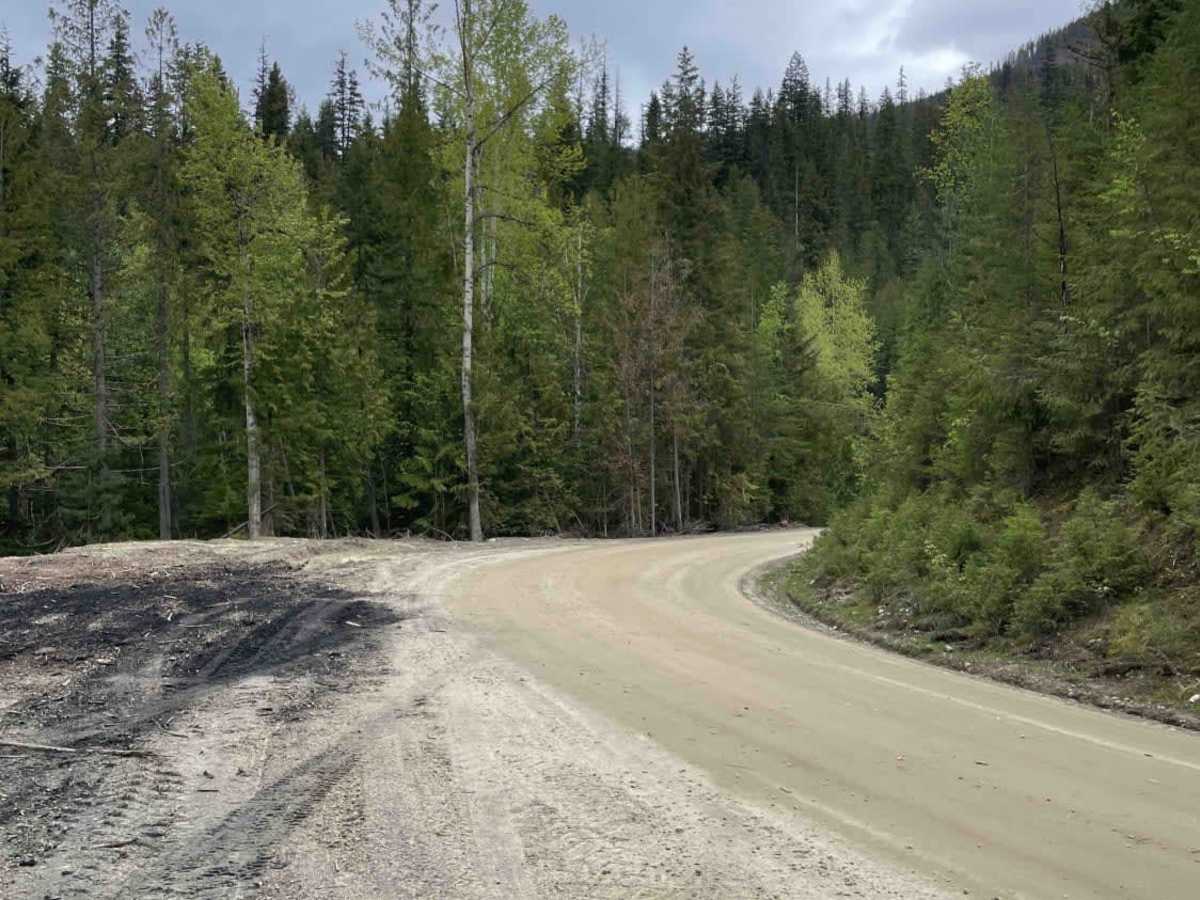 Mabel Lake FSR to Cottonwood Rec Site photo 3