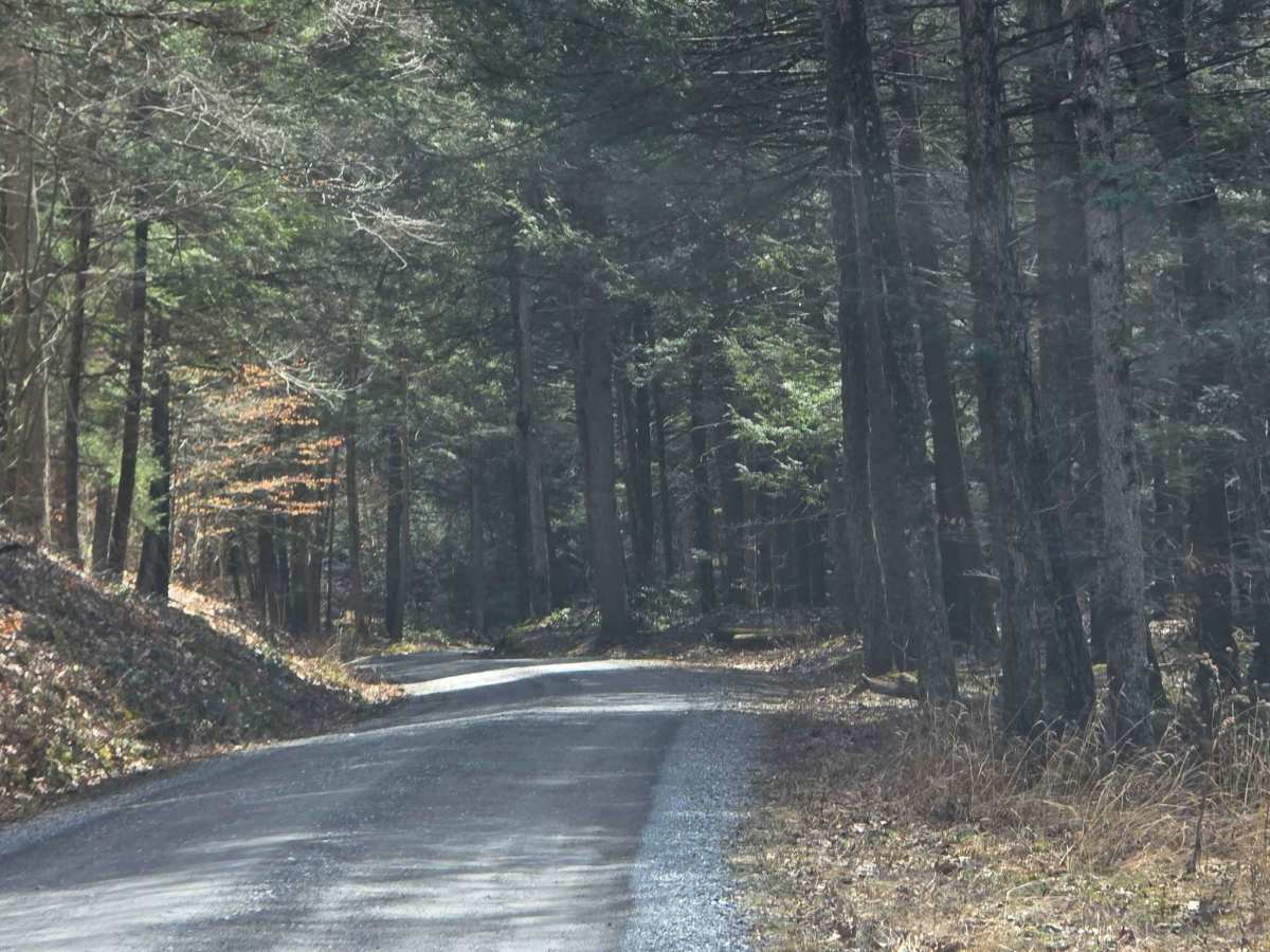 Asaph Run Road photo 3
