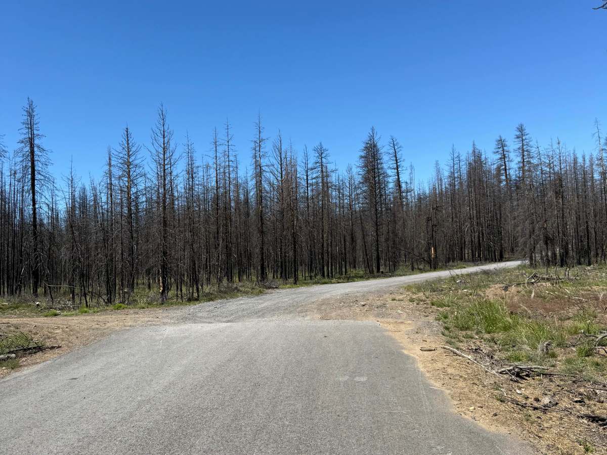 Siah Butte Road photo 5