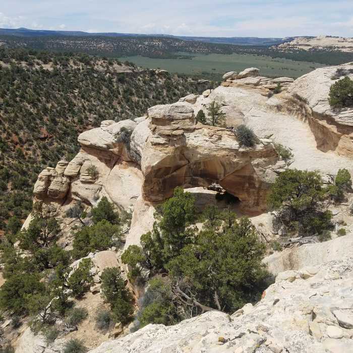 Near Miracle Rock Arch Route