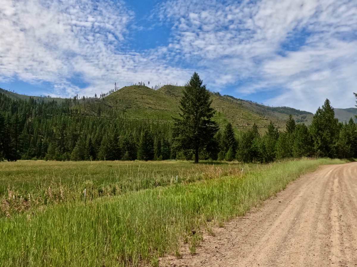 Weaver Gulch Trail photo 5