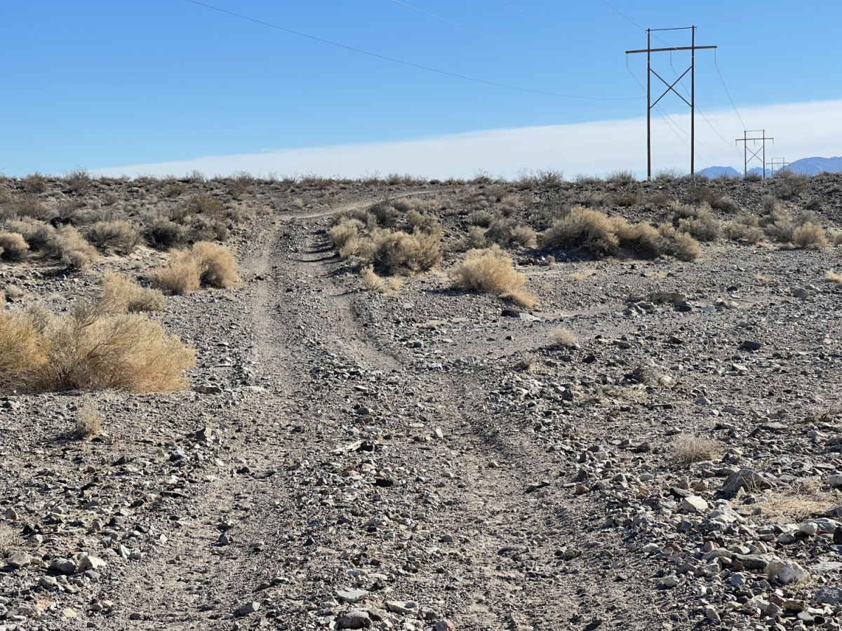 Pole Line Road photo 3