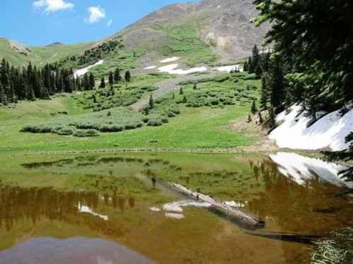 Brown Mountain photo 4