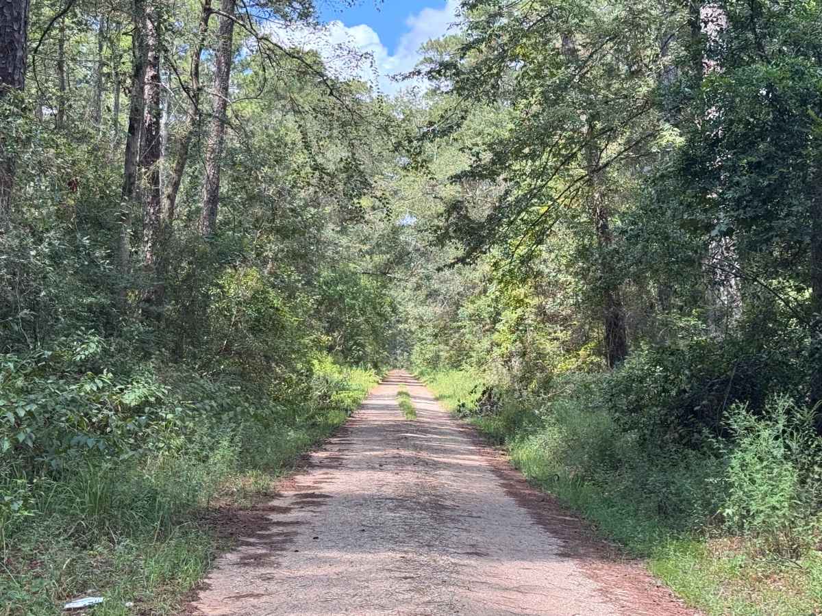 Jay Hawker trail photo