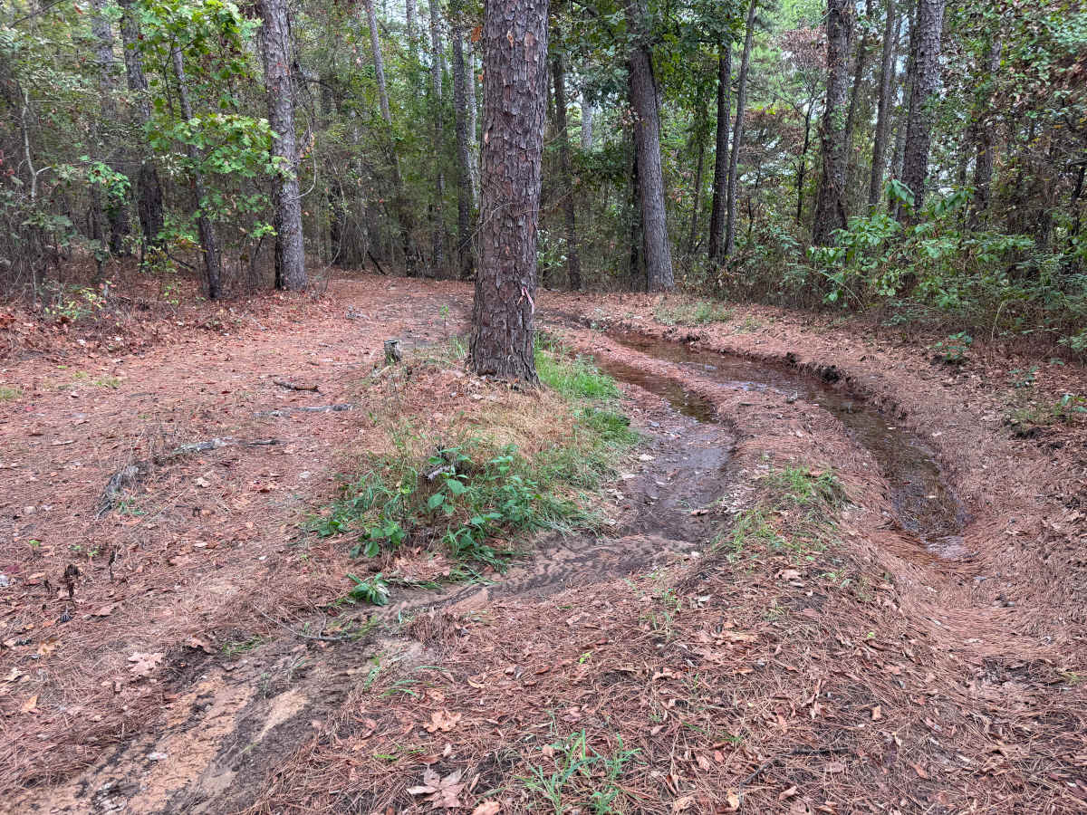 Pine Grove photo 6