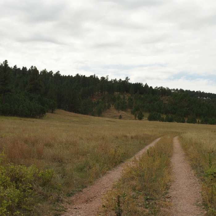 The trail as it meanders through an open field. Near Wind Cave Canyon Trail