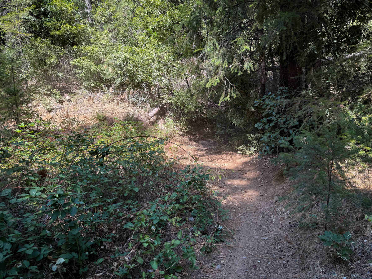 Trail 6-2 (11E52)  photo 5