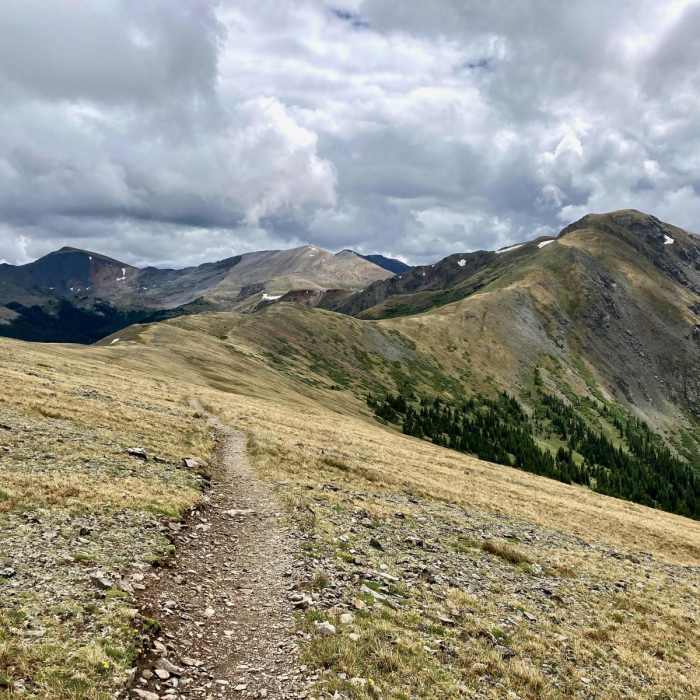 Near Colorado Trail: Collegiate West Segment 3