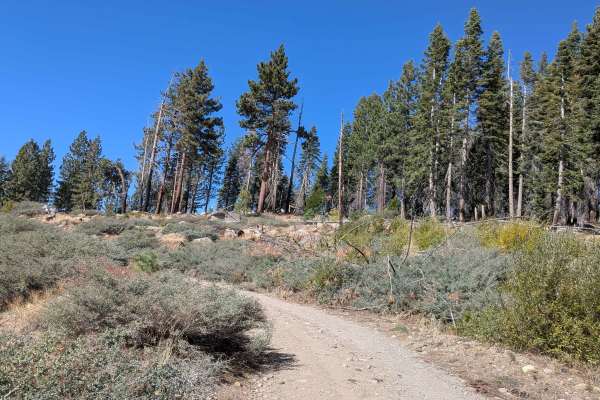 Fence Creek Road - FS 6N06