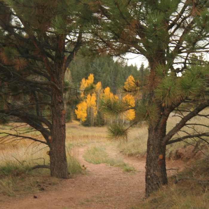 Near Hans Loop Trail