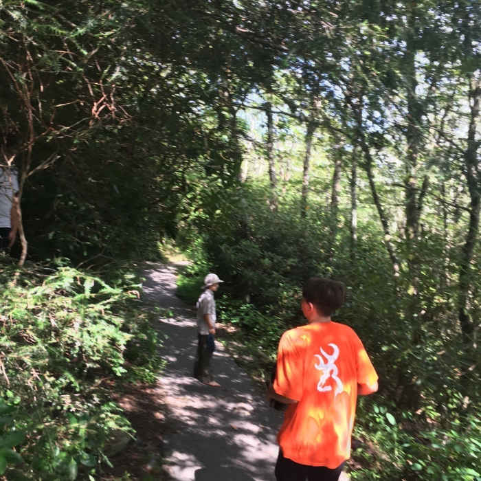Near Arkaquah Trail