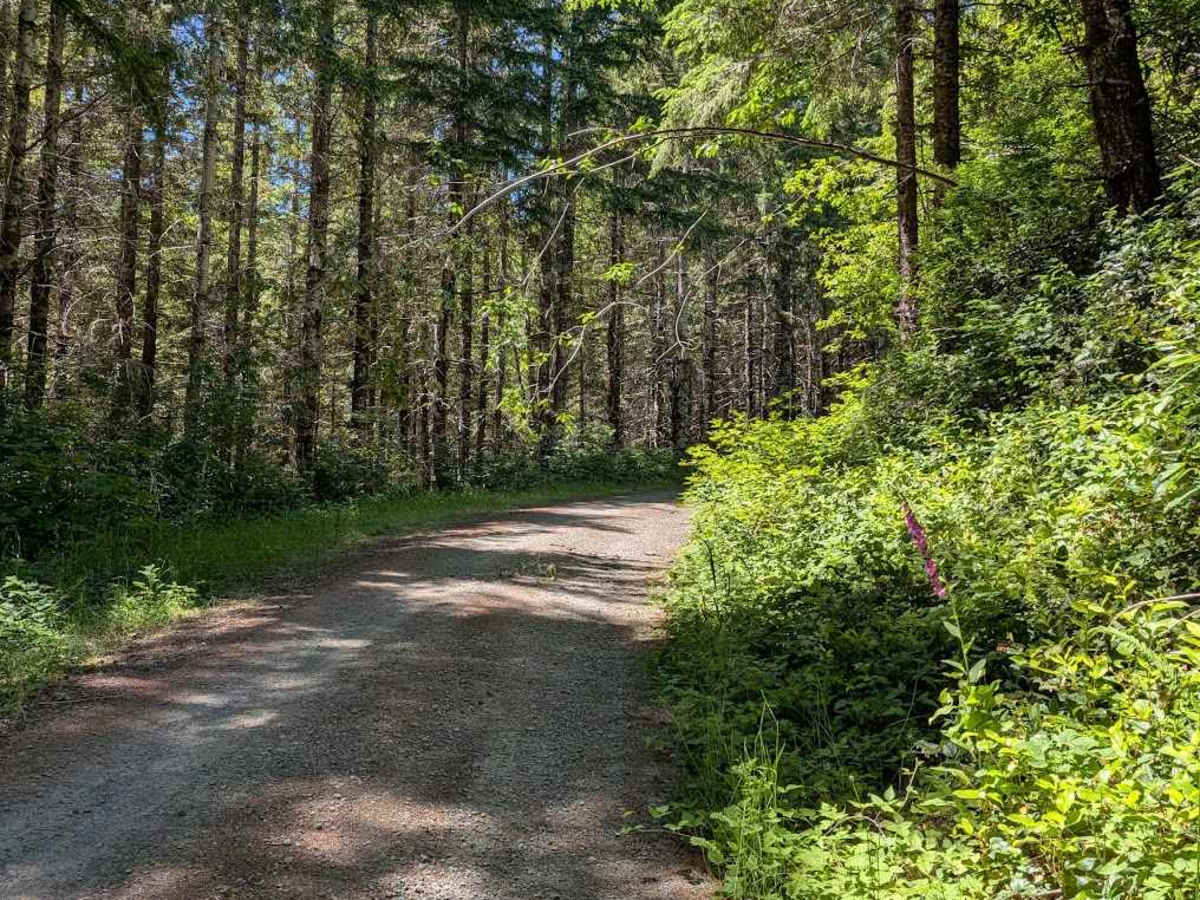 FS 5304 photo 5