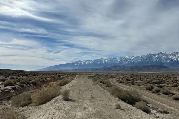 Berm Trail