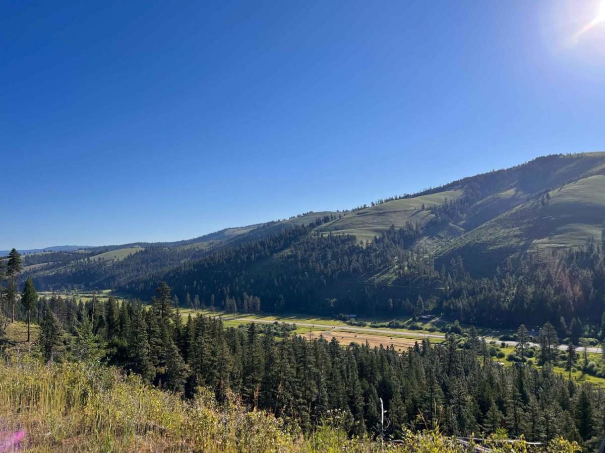 Waugh Gulch photo 6