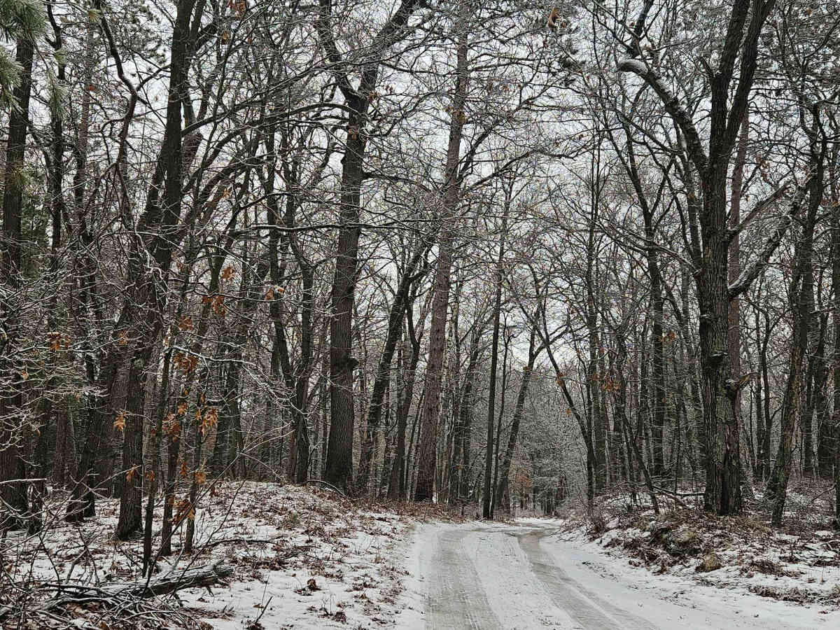 Rush Lake Access trail photo