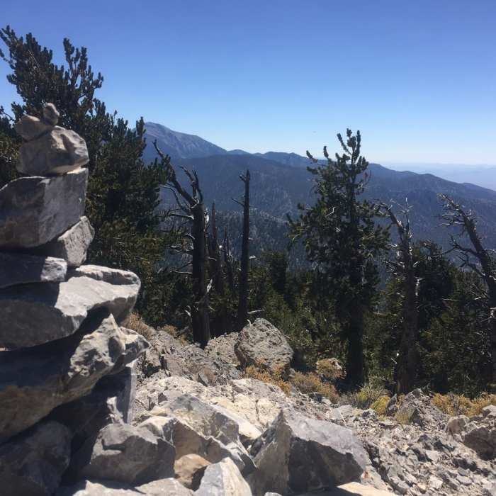 Near Bonanza Peak Out and Back