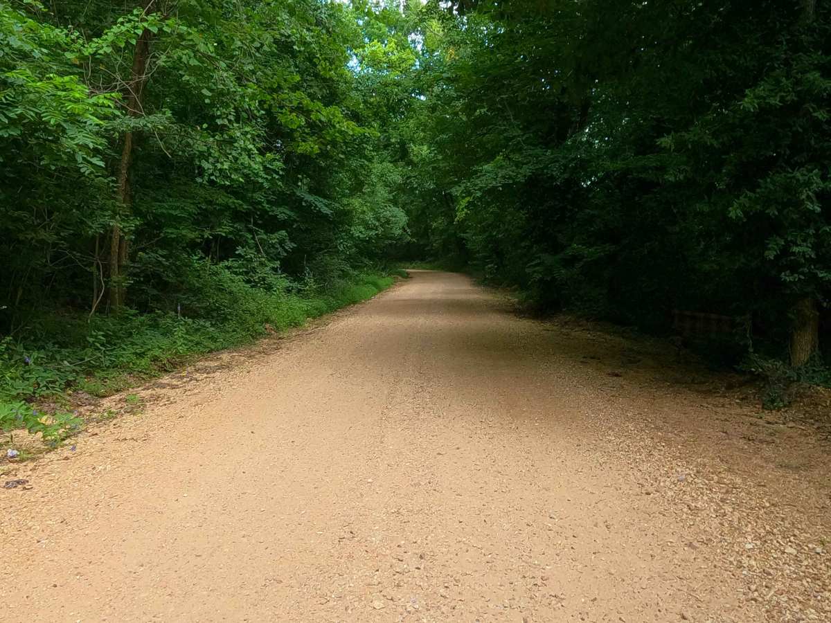 Glenallen Road - BCR 804 photo 3