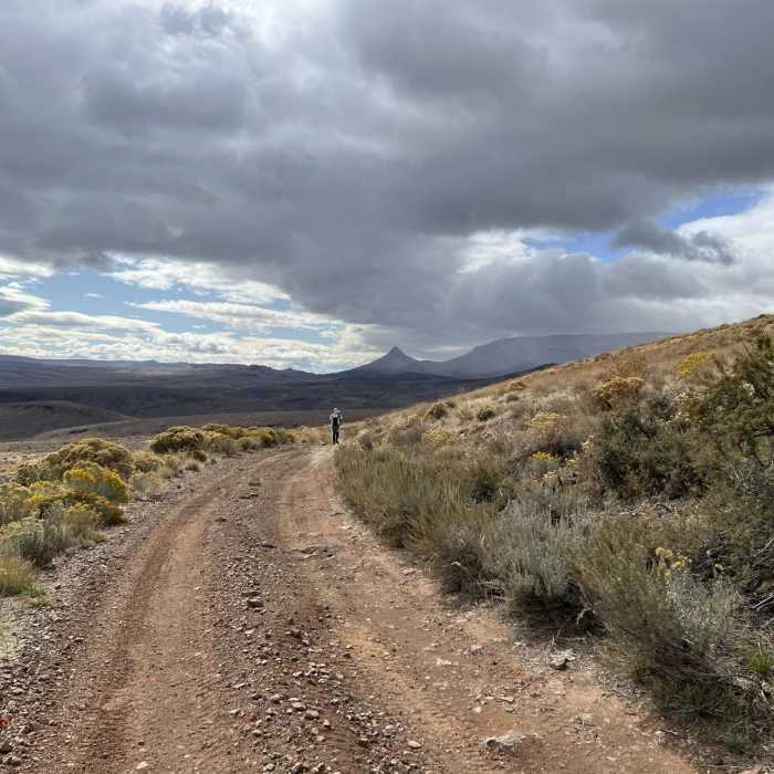 Near Fifteen Mile Road