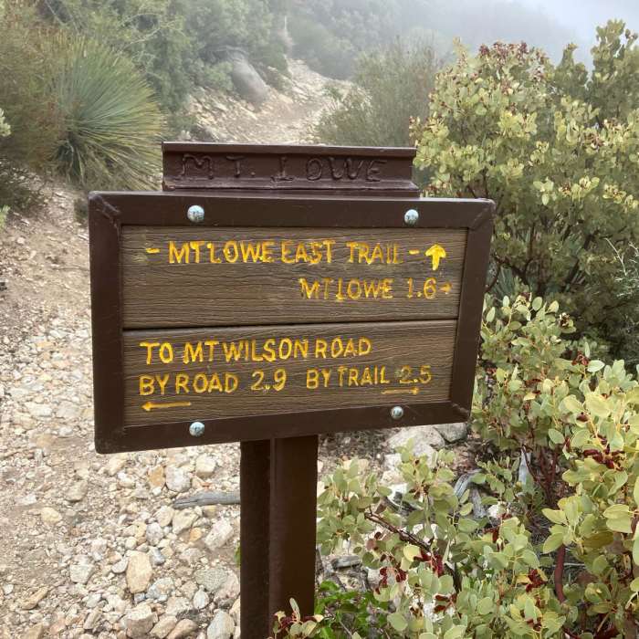 Near Eaton Saddle / Brown Canyon Loop