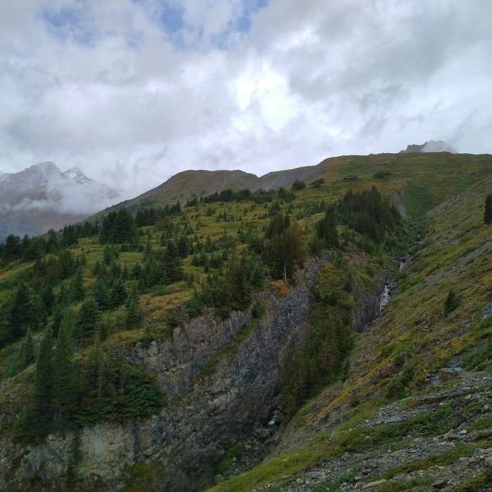Near Wilcox Pass Trail