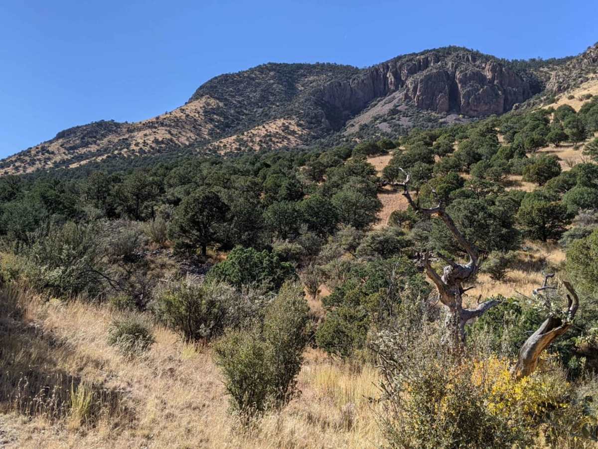 South Canyon Rd. photo 3