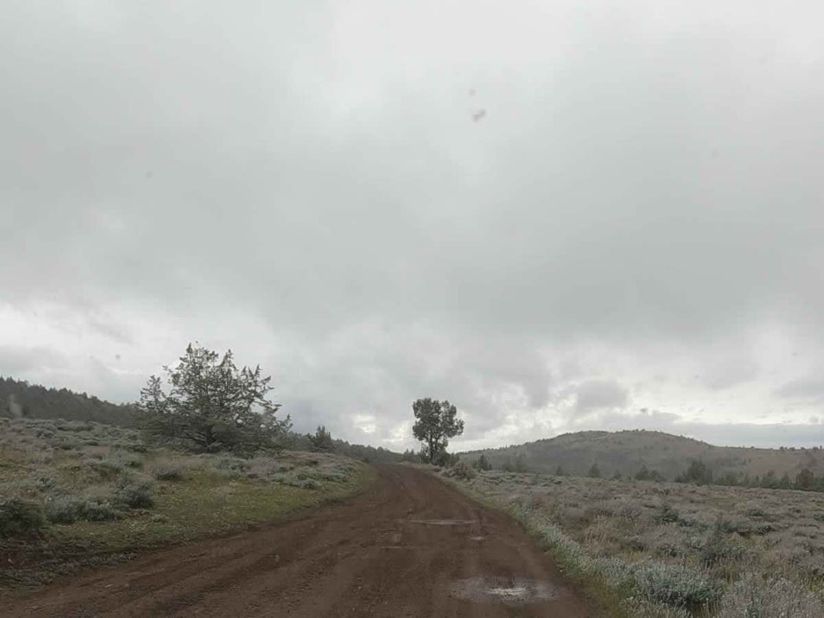 Gray Butte - NF-5700 trail photo
