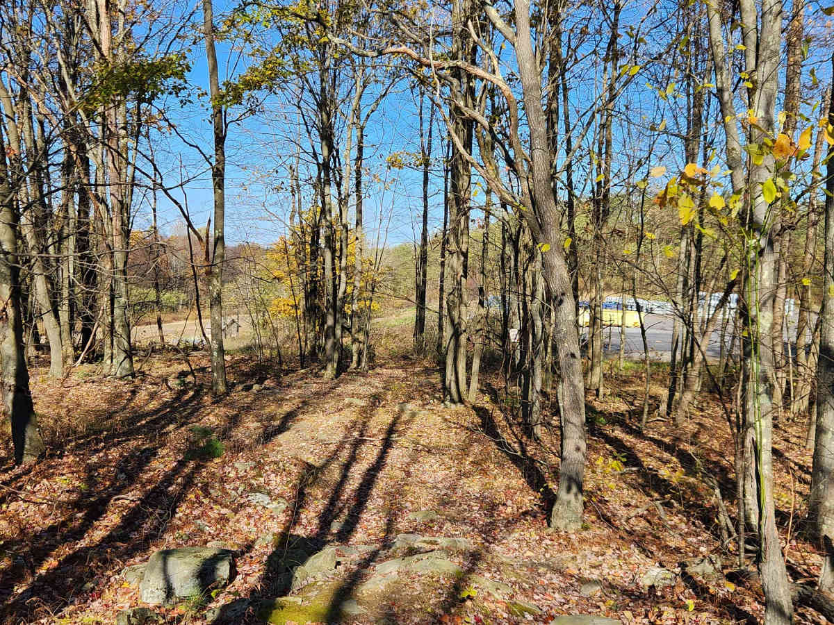 OHV 2 - Rock Run Recreation Area photo 3