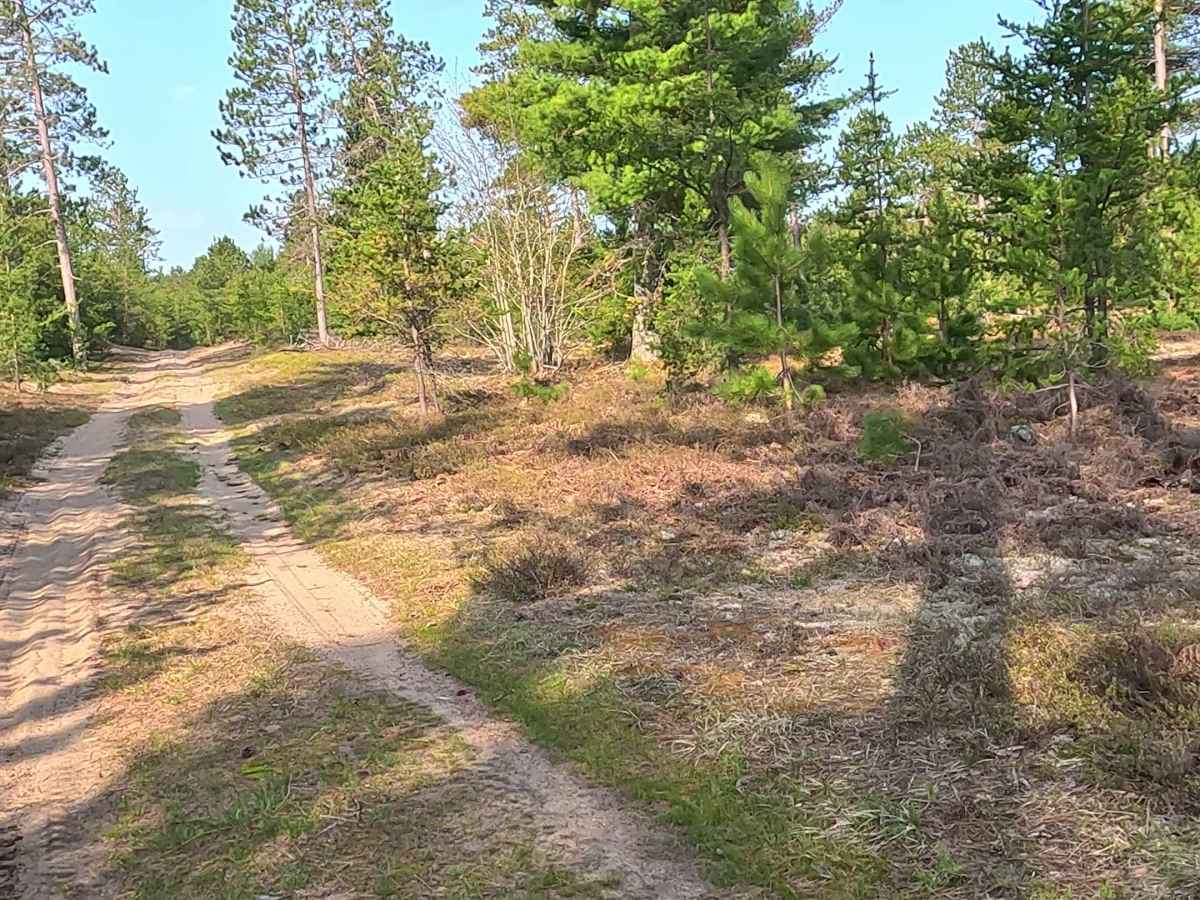 Vermillion Spur North trail photo