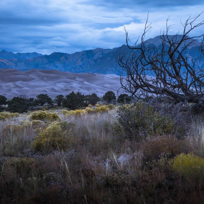 san luis valley evening Near Mosca Pass Trail