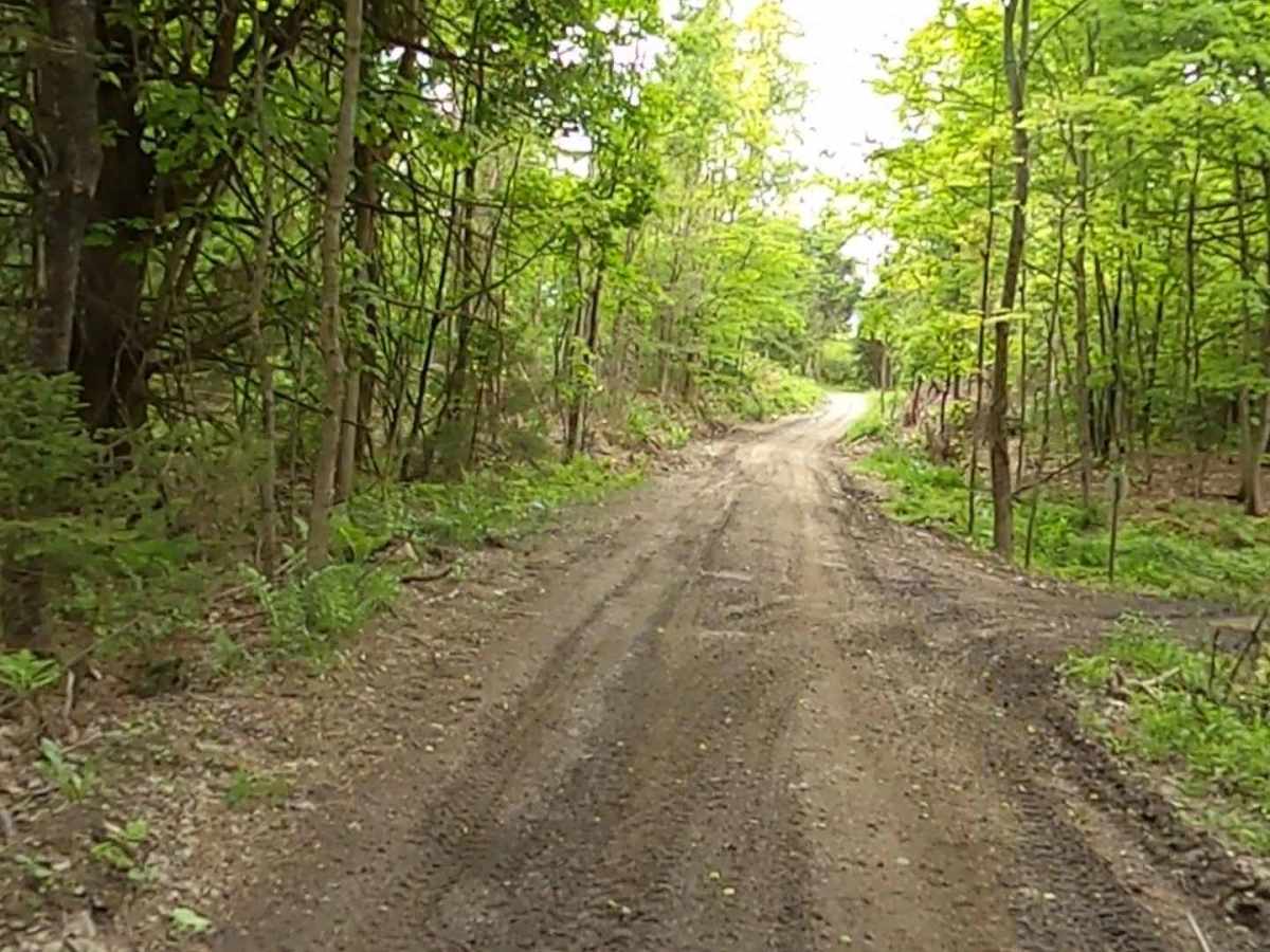 Lewis County Area A - Green Trail photo 4
