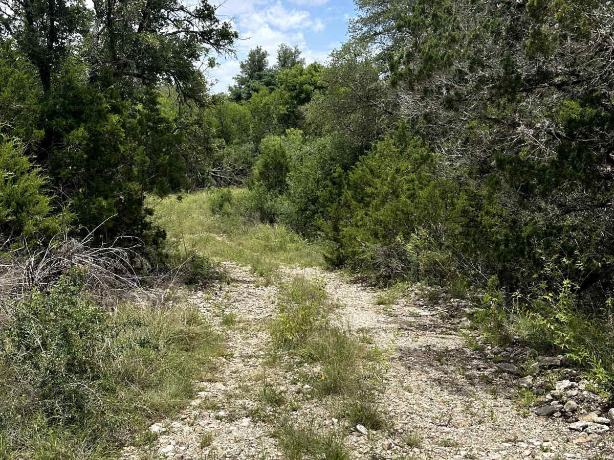 Shady Lane photo 3