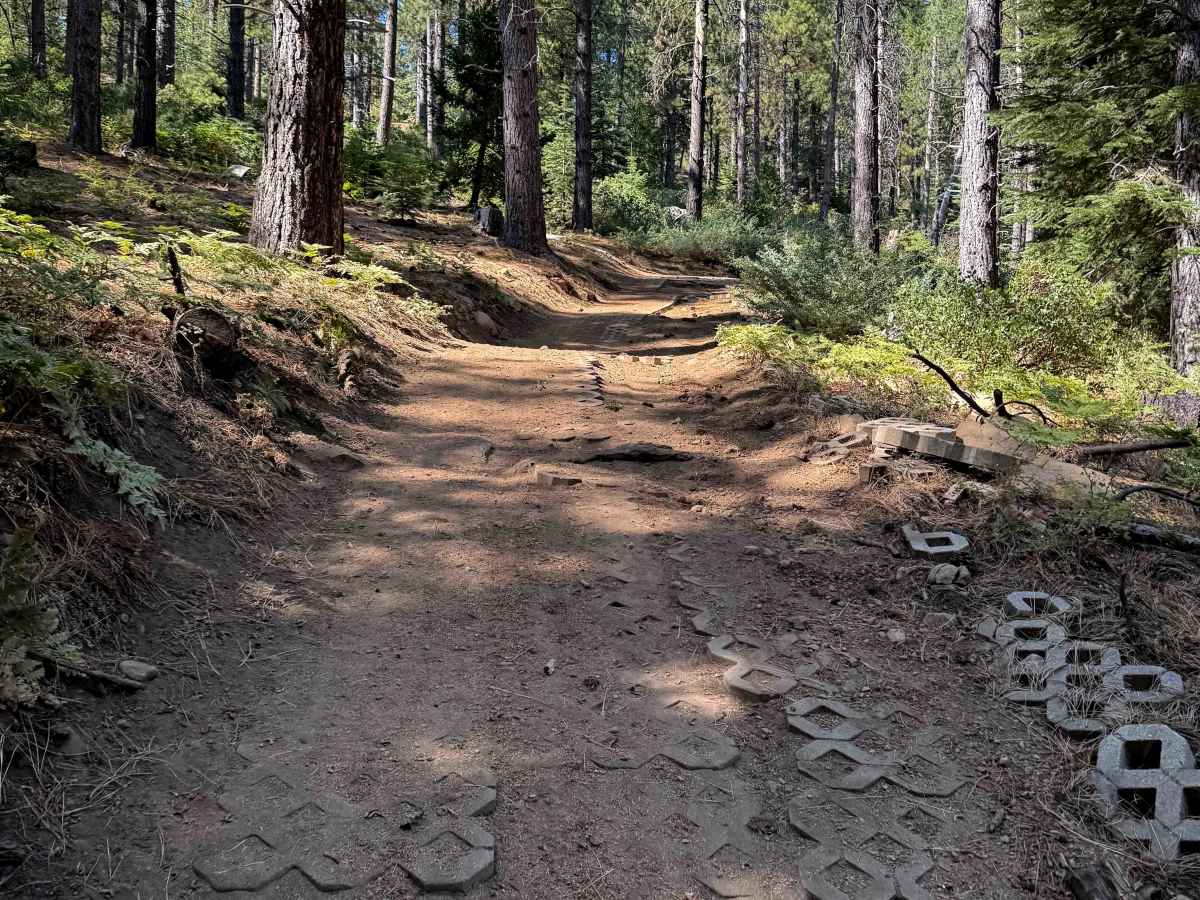 18EV88 trail photo