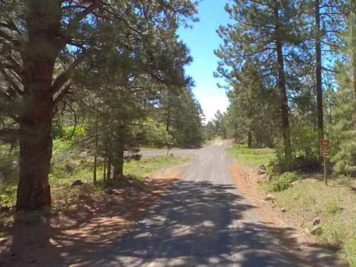 Hells Backbone - NF153 photo 2