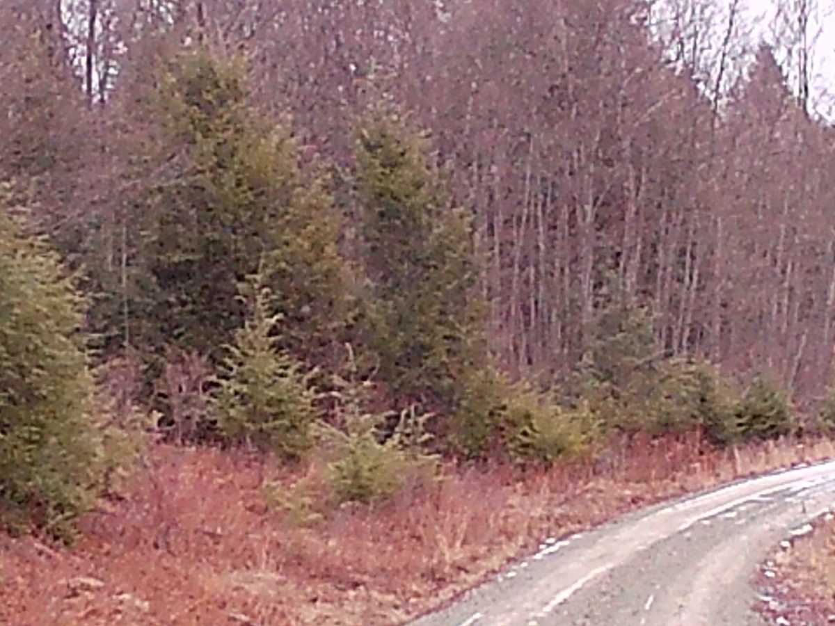 Old Berwick Turnpike photo 4