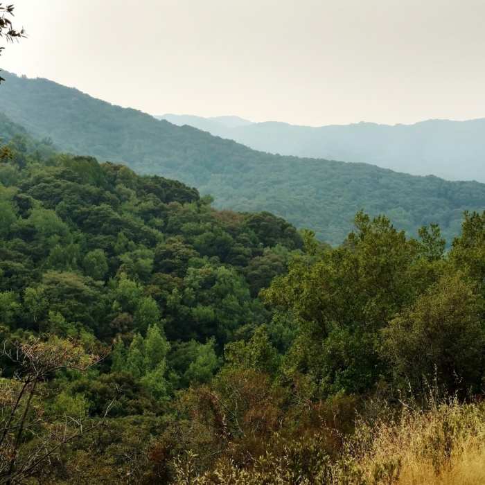 Near Barlow Road