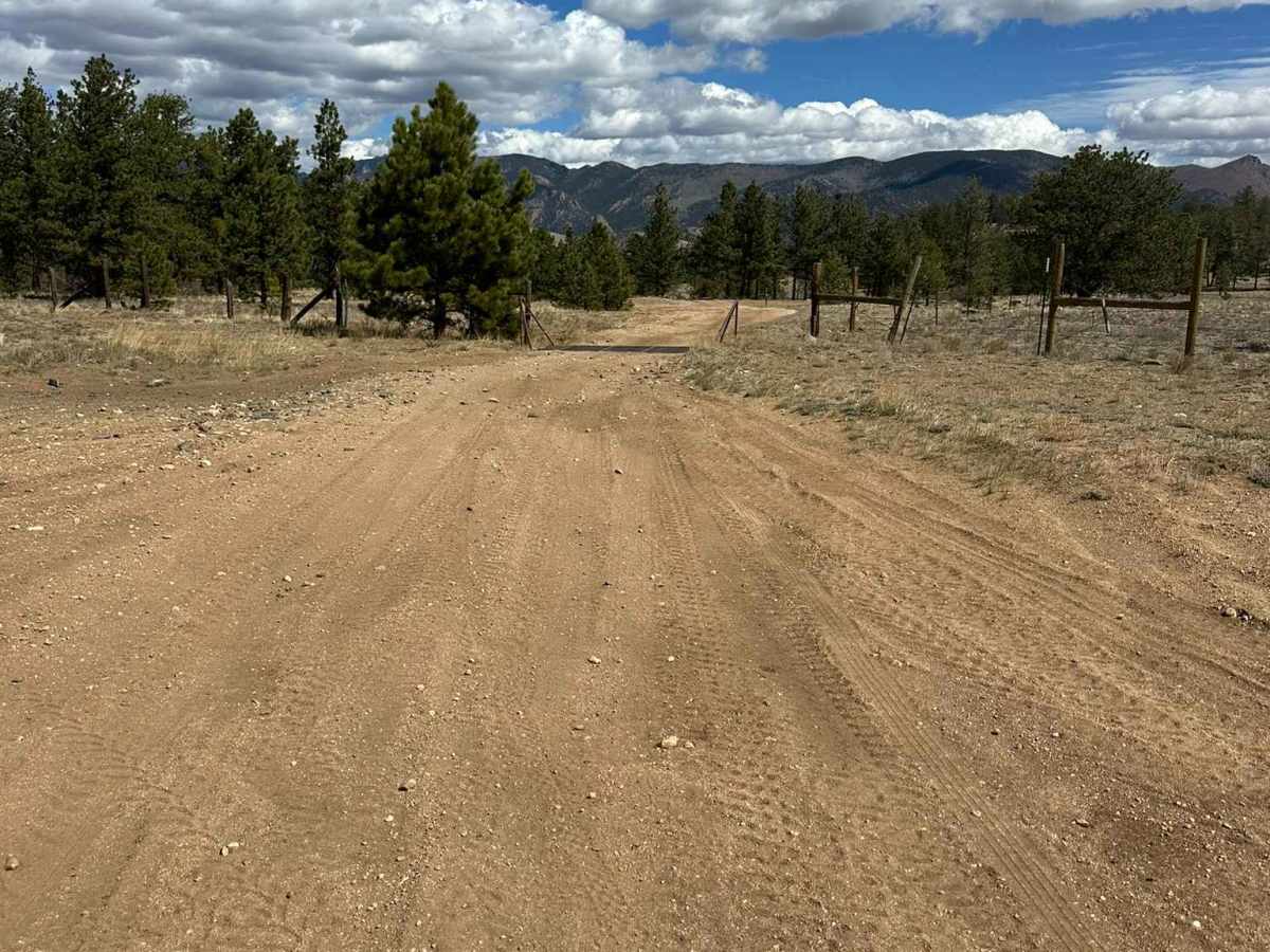 Boomer Road photo 2