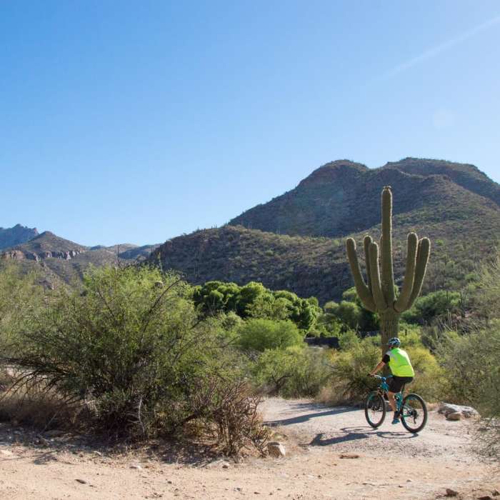Near Sabino Lake and Bluff Trail Loop