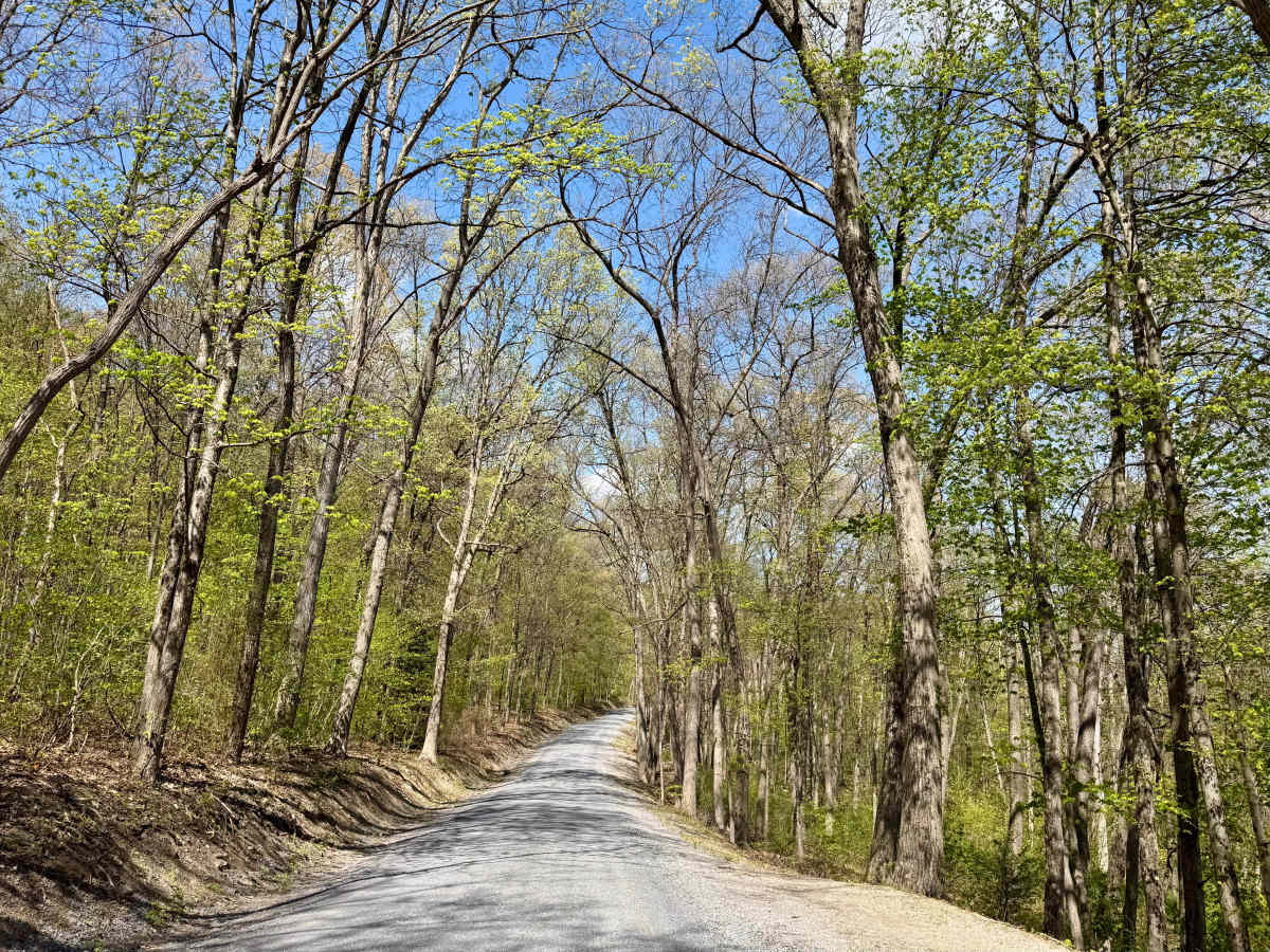 Licking Creek Dr photo 5