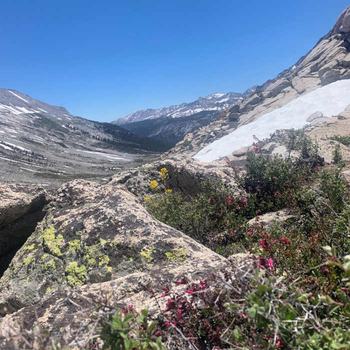 Near Crescent Meadow to Kaweah Gap