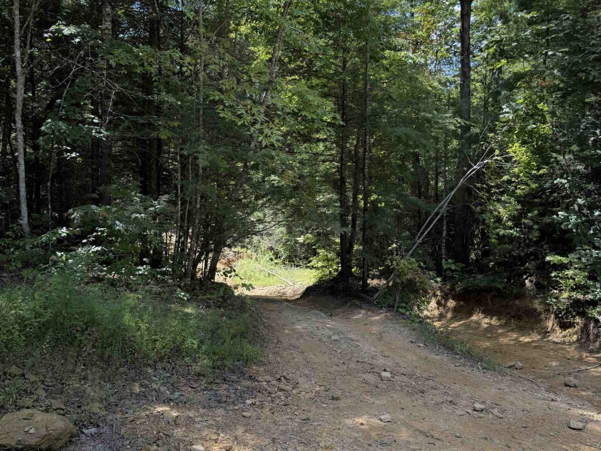 Lost Ridge Trail 14 photo 3