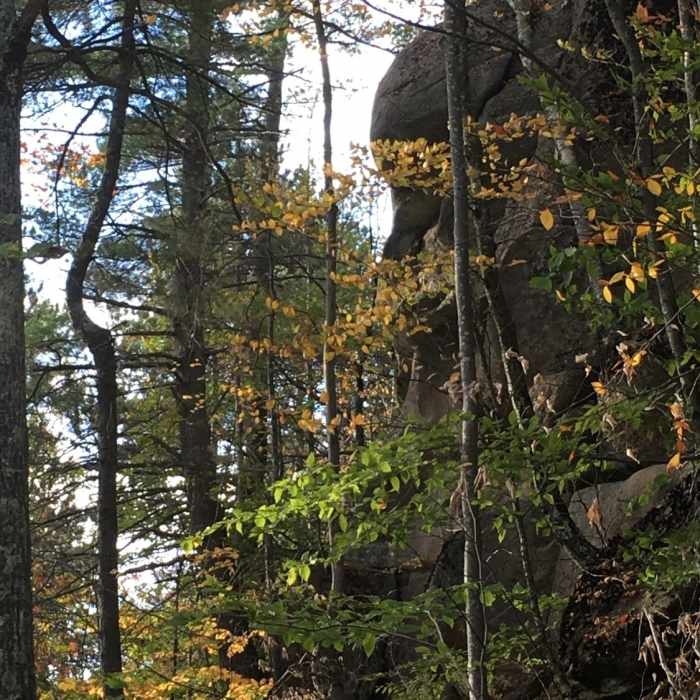 Almost at the summit. Near Devil's Den Mountain